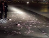 Hava limanına pul yağdı