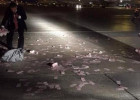 Hava limanına pul yağdı