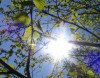 Havanın temperaturu daha da yüksəlir