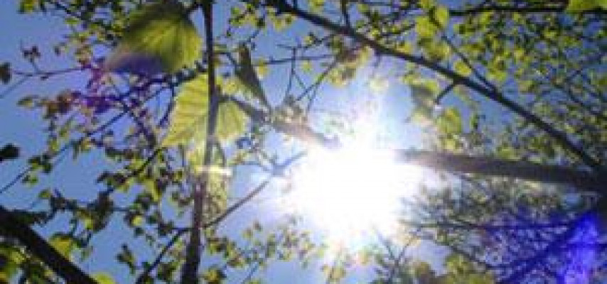 Havanın temperaturu daha da yüksəlir