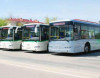 35 avtobus sürücüsünə - CƏZA