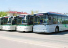 35 avtobus sürücüsünə - CƏZA