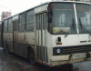 Avtobusu diskotekaya çevirdilər
