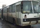 Avtobusu diskotekaya çevirdilər