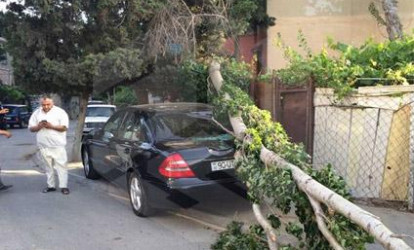Bakıda avtomobilin üstünə ağac aşdı; sığorta imtina etdi