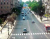 Mərkəzi küçələrdə nəqliyyatın hərəkətinə qadağa qoyulacaq