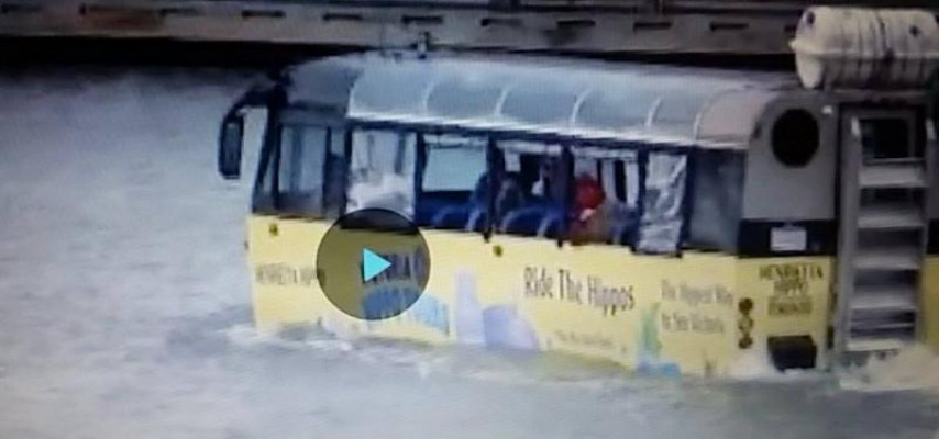 Bakıya məhz bu maşınlardan lazımdır; uçur, üzür, yeriyir