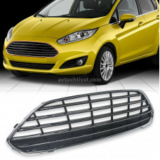 Ford Fiesta radiator barmaqlıqı