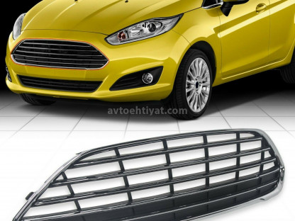 Ford Fiesta radiator barmaqlıqı