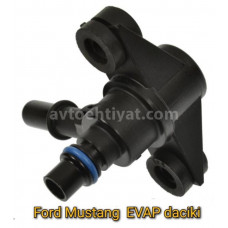 Ford Mustang EVAP daciki