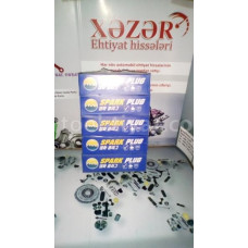 Hyundai, Kia şam