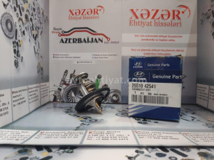 Hyundai HD-72, termostat