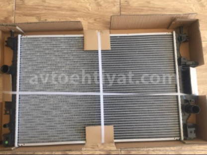 Ford Fusion su radiatoru
