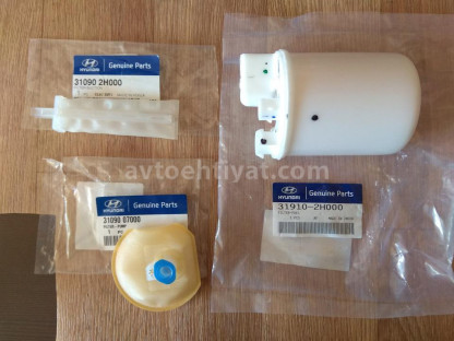Hundayi Yanacaq filteri 319102H000