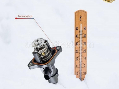 Nissan Termostat