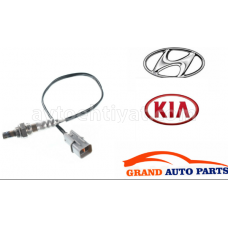 Hyundai Elantra katalizator sensoru