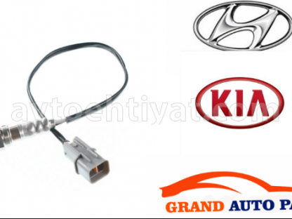 Hyundai Elantra katalizator sensoru