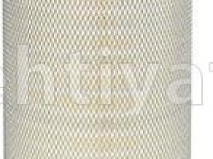 BALDWIN PA3876-hava filteri