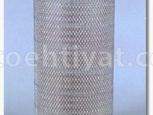FLEETGUARD af25247 hava filteri
