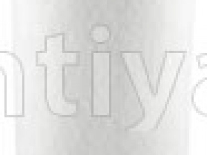 BALDWIN RS5547-hava filteri