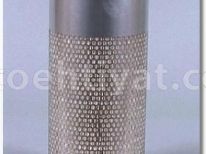 FLEETGUARD af25031 hava filteri
