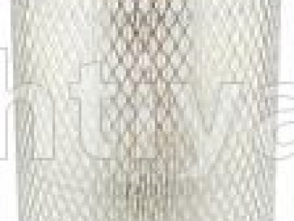 BALDWIN PA2845-hava filteri