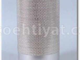 FLEETGUARD af25325 hava filteri