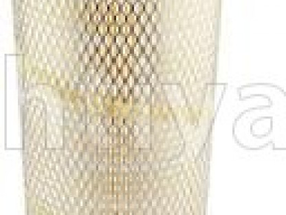 BALDWIN PA2756-hava filteri