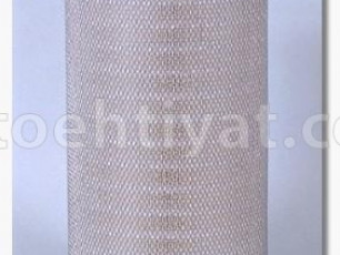 FLEETGUARD af25313 hava filteri