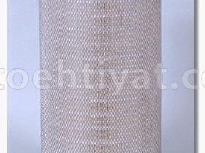 FLEETGUARD af25313 hava filteri