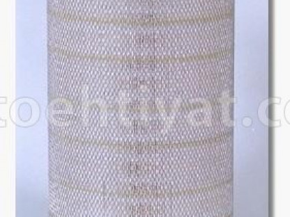 FLEETGUARD af25333 hava filteri
