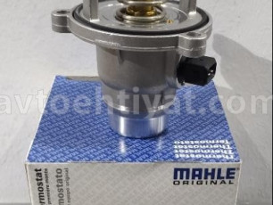 Bmw F10 termostat