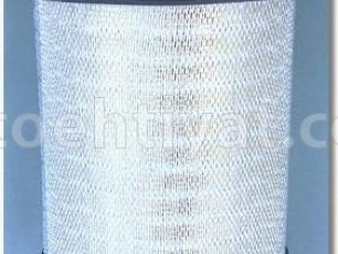 FLEETGUARD af25239 hava filteri