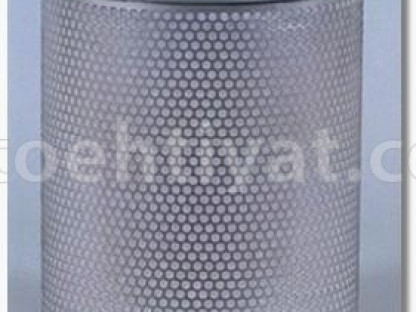 FLEETGUARD af25261 hava filteri