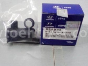 Hyundai Elantra su nasosu