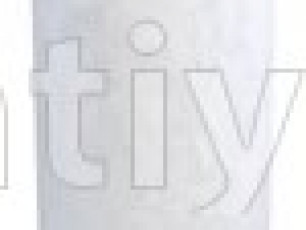 BALDWIN RS3993-hava filteri