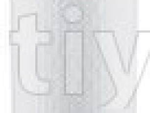 BALDWIN RS3545-hava filteri