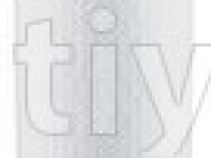 BALDWIN RS3545-hava filteri