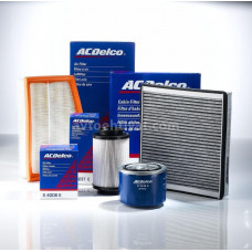 AC Delco filterleri