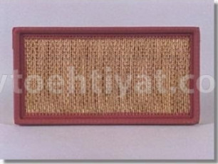 FLEETGUARD af25256 hava filteri