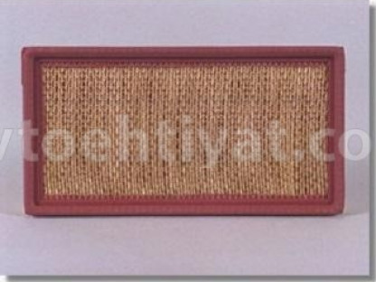 FLEETGUARD af25256 hava filteri