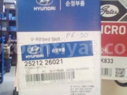 Hyundai, Kia remenleri