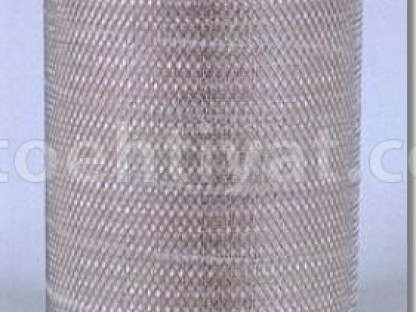 FLEETGUARD af25262 hava filteri