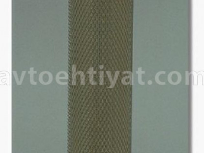 FLEETGUARD af25318 hava filteri