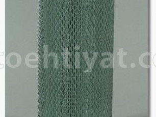 FLEETGUARD af25041 hava filteri
