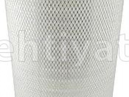 BALDWIN RS4579-hava filteri