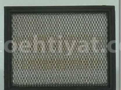 FLEETGUARD af25227 hava filteri