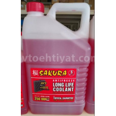 Sakura Antifriz, 5L