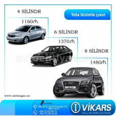 VİKARS