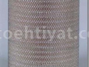 FLEETGUARD af25139m hava filteri